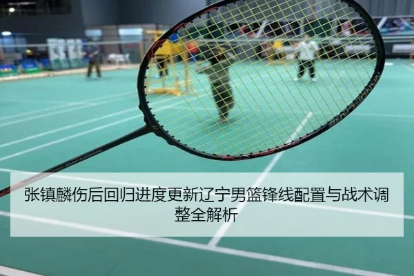 张镇麟伤后回归进度更新辽宁男篮锋线配置与战术调整全解析